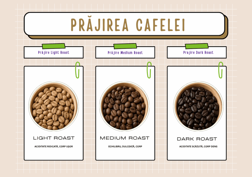 Cafea Light Roast, Cafea Medium Roast, Cafea Dark Roast